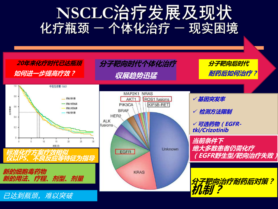 靶向治疗在NSCLC治疗进展-201404课件.ppt_第3页