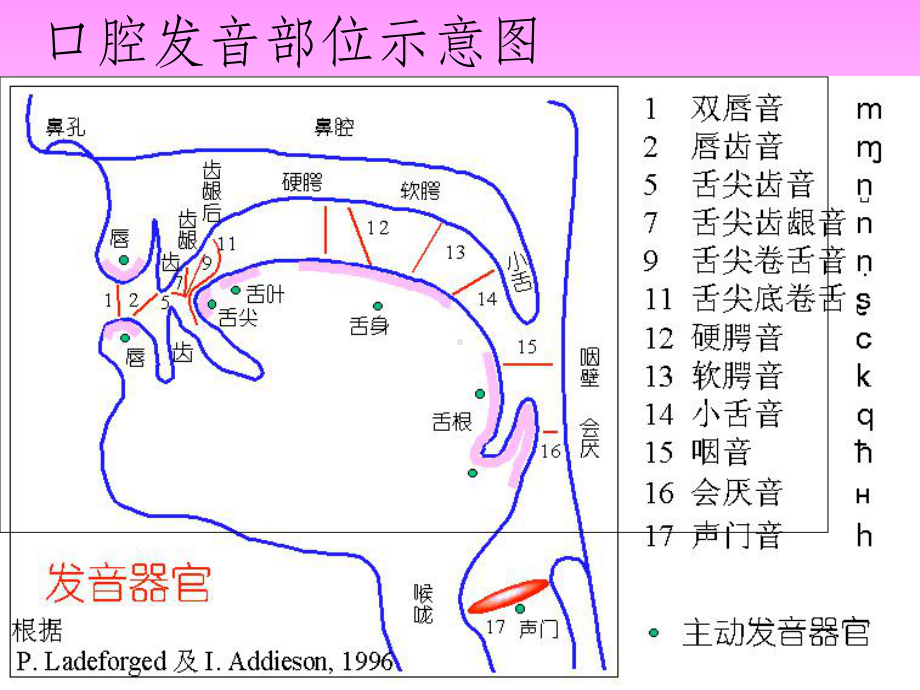 汉语拼音发音课件.ppt_第3页