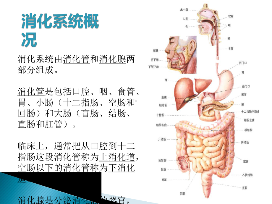 胃肠镜前后的护理课件.ppt_第3页