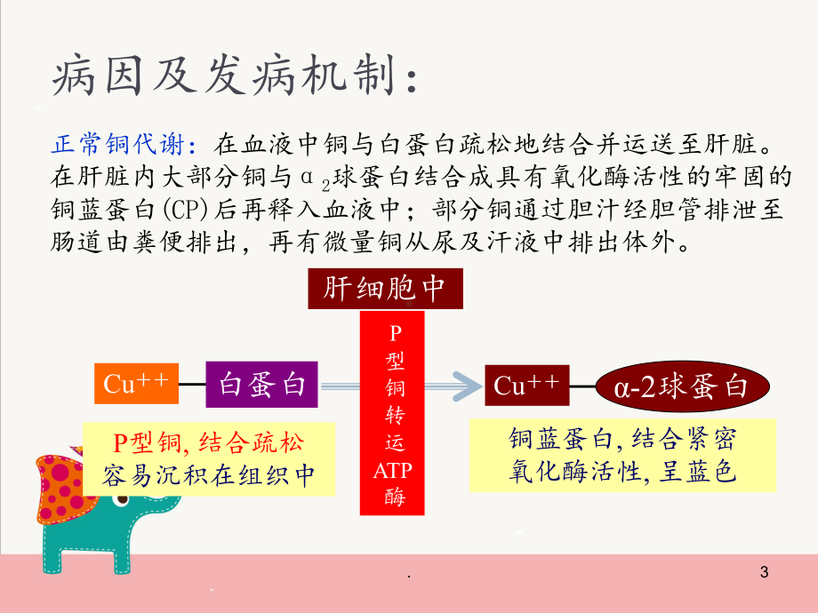 肝豆状核变性课件.pptx_第3页