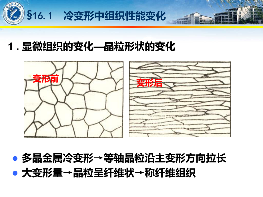 第16章-金属塑性变形对组织性能的影响课件.ppt_第3页