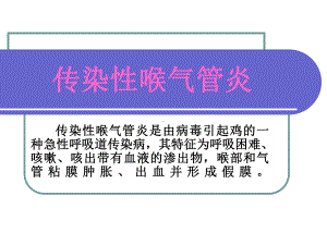 传染性喉气管炎课件.ppt