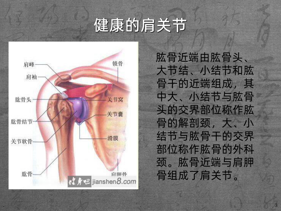 肩关节置换术后护理课件.ppt_第3页