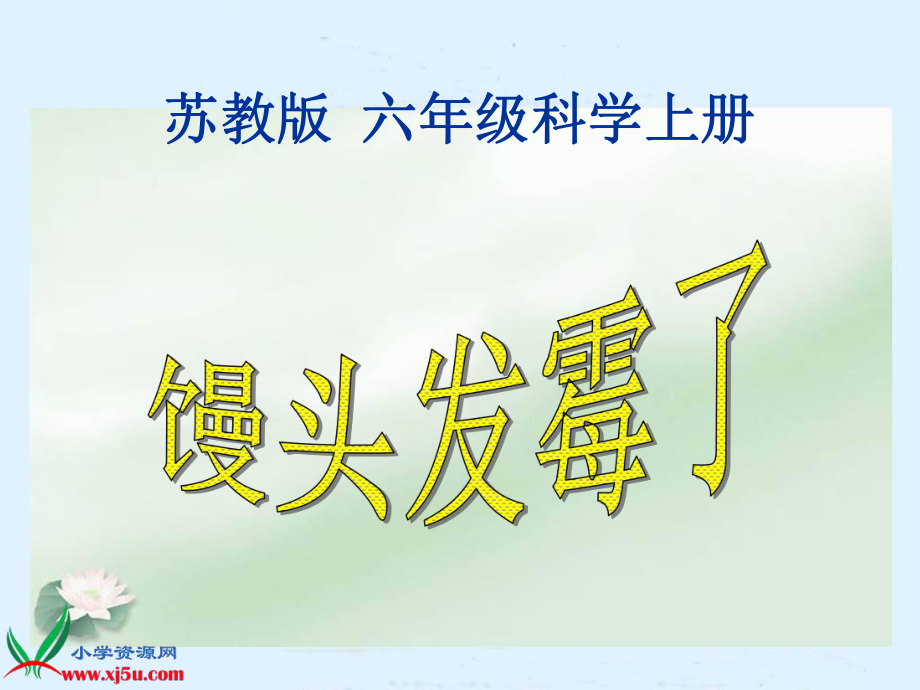 馒头发霉了》-苏教版课件.ppt_第3页