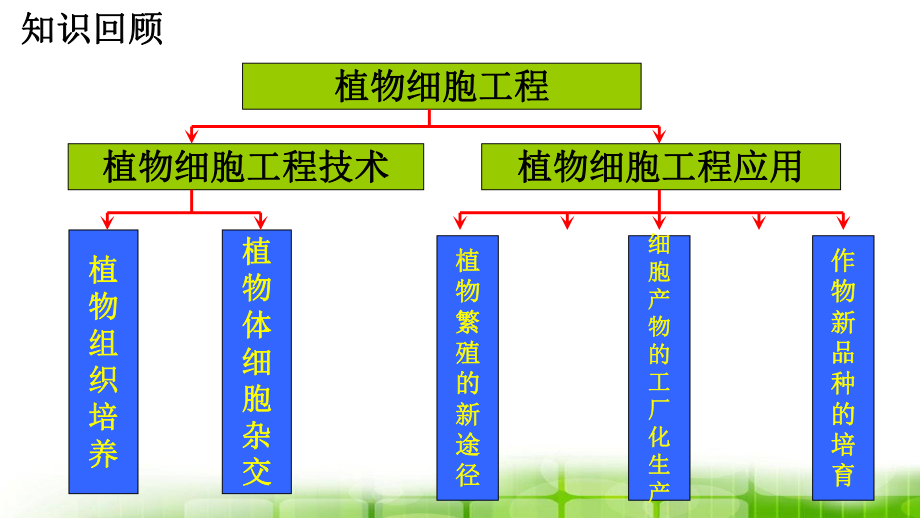 高中生物(人教版选修3)专题2同步教学课件-221-动物细胞培养和核移植技术-.ppt_第1页