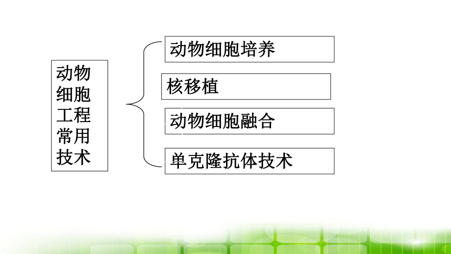 高中生物(人教版选修3)专题2同步教学课件-221-动物细胞培养和核移植技术-.ppt_第3页