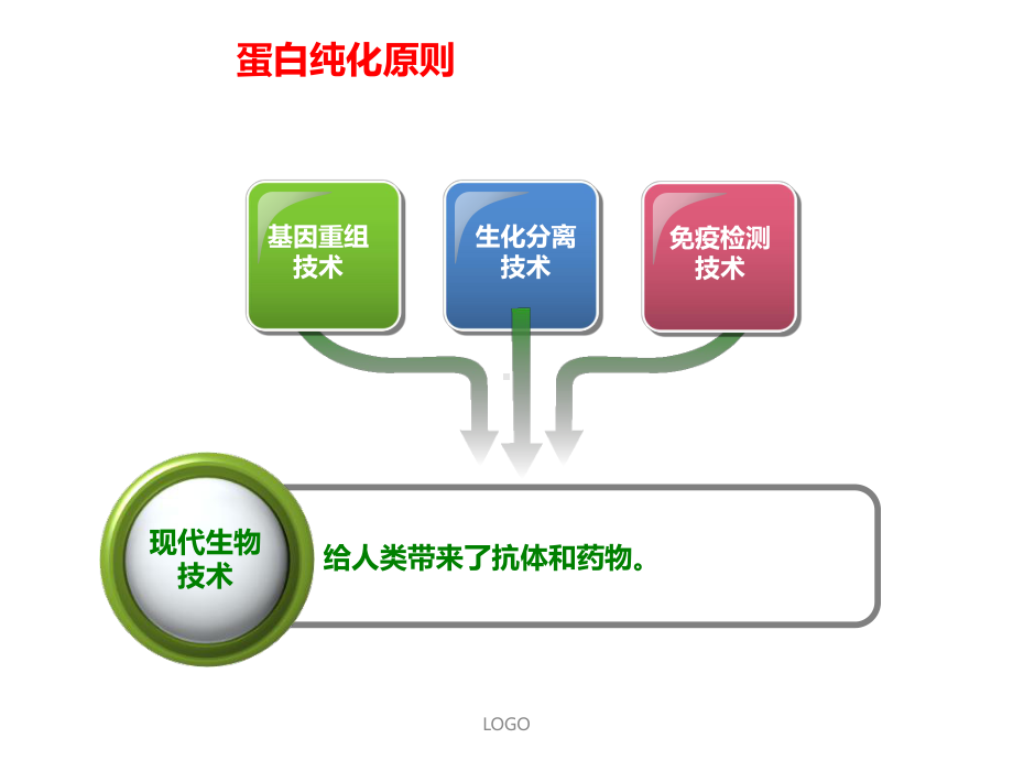 重组蛋白药物纯化与质量控制课件.ppt_第3页