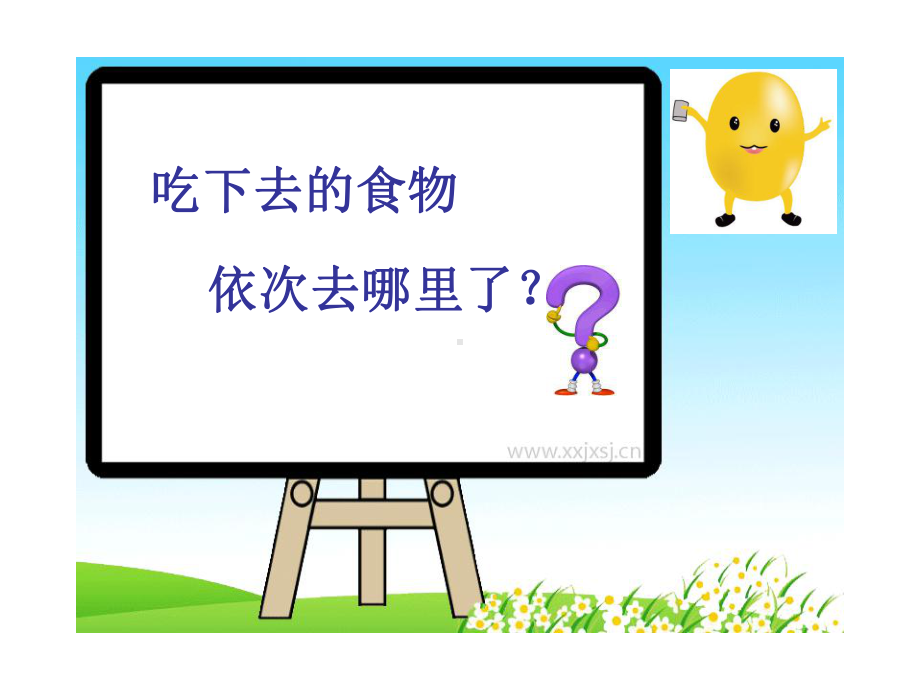 幼儿园大班《食物的旅行》课件.ppt_第3页