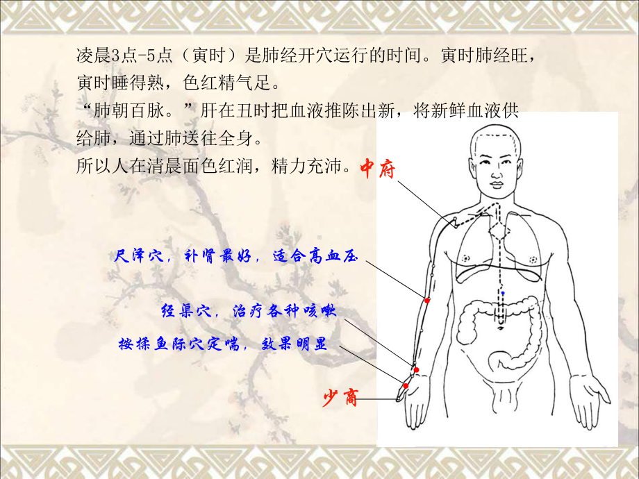 十二经络养生课件最新版.ppt_第3页