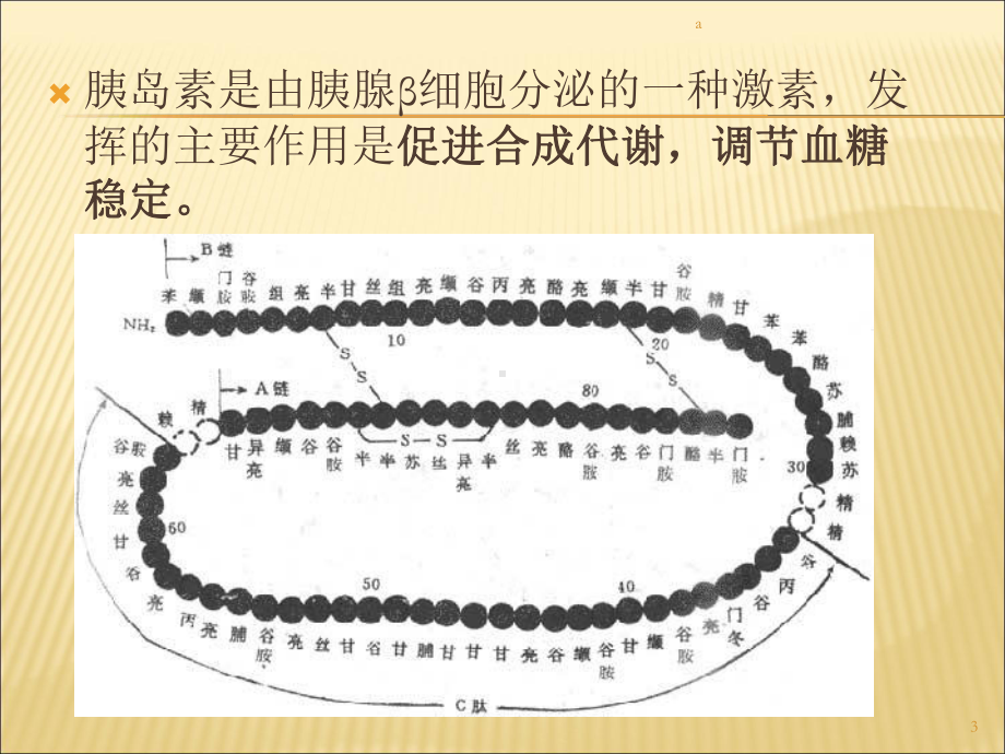 糖尿病的胰岛素治疗及最新治疗课件.ppt_第3页