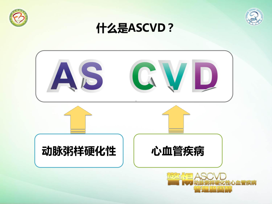 让糖尿病患者远离ASCVD的威胁课件.pptx_第3页