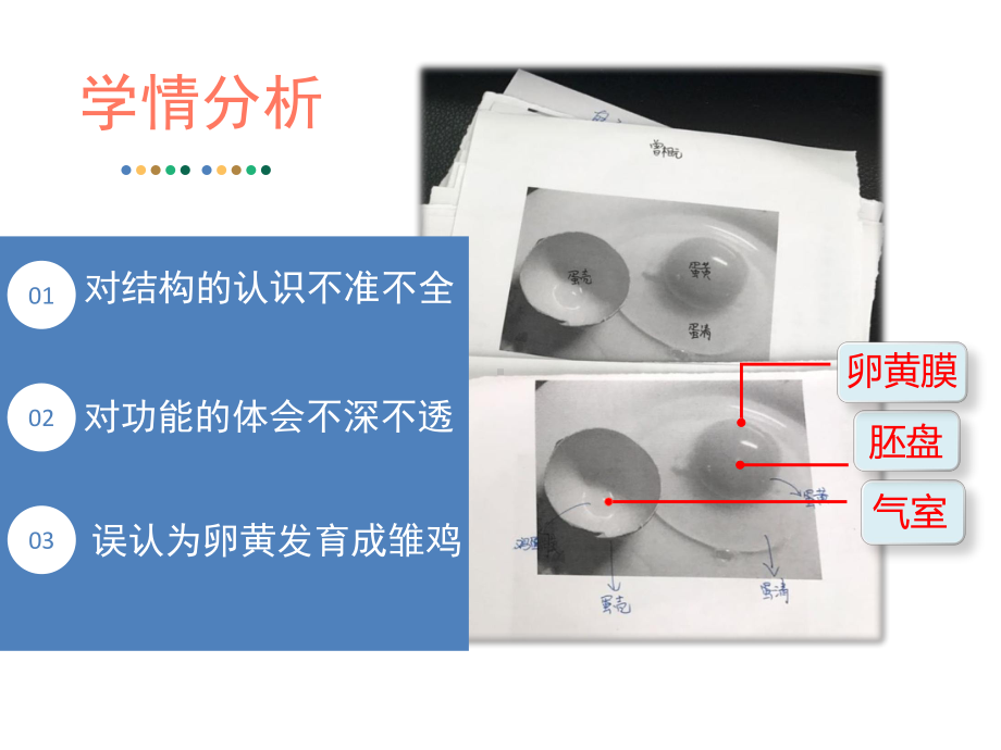 《观察鸡卵的结构》说课课件(全国获奖实验说课案例).pptx_第3页