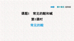 人教版九年级化学下册第10单元酸和碱习题课件.pptx