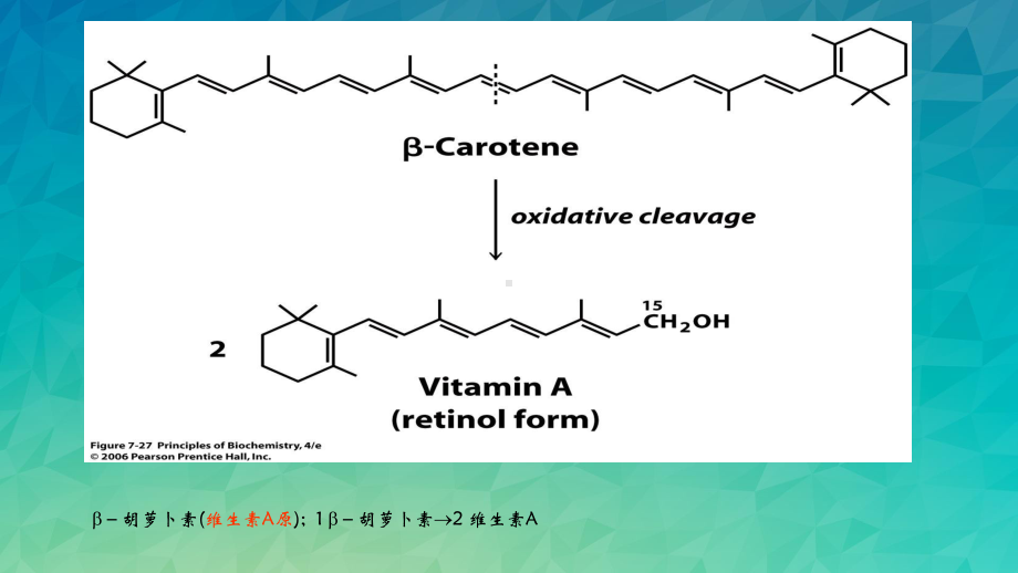 维生素与辅酶课件.ppt_第3页