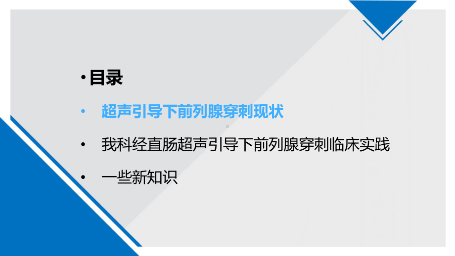 超声引导下前列腺穿刺临床实践课件.pptx_第2页