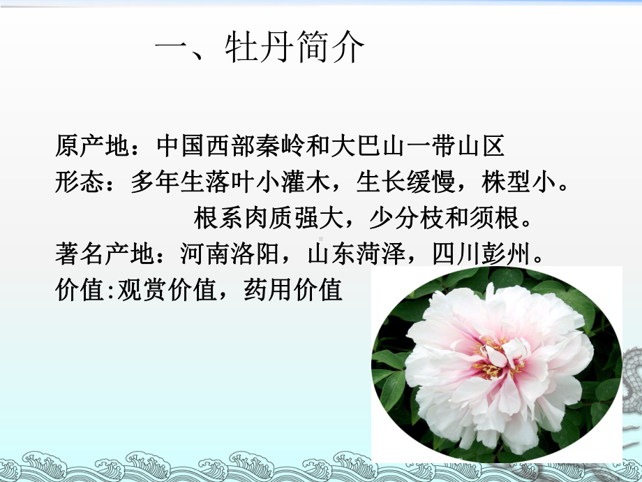 《牡丹的药用价值》课件.ppt_第3页