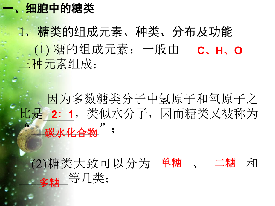 人教版生物必修一第二章第三节细胞中的糖类和脂质课件.ppt_第2页