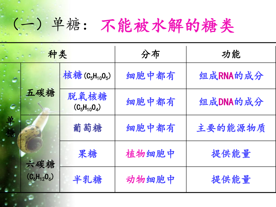 人教版生物必修一第二章第三节细胞中的糖类和脂质课件.ppt_第3页