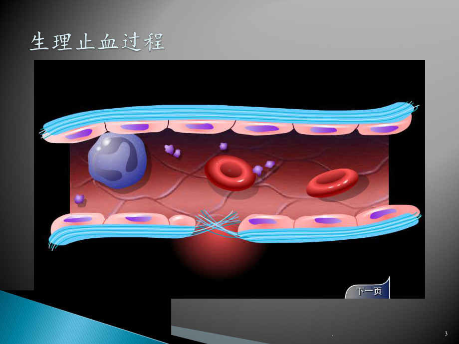 出血性疾病课件.pptx_第3页