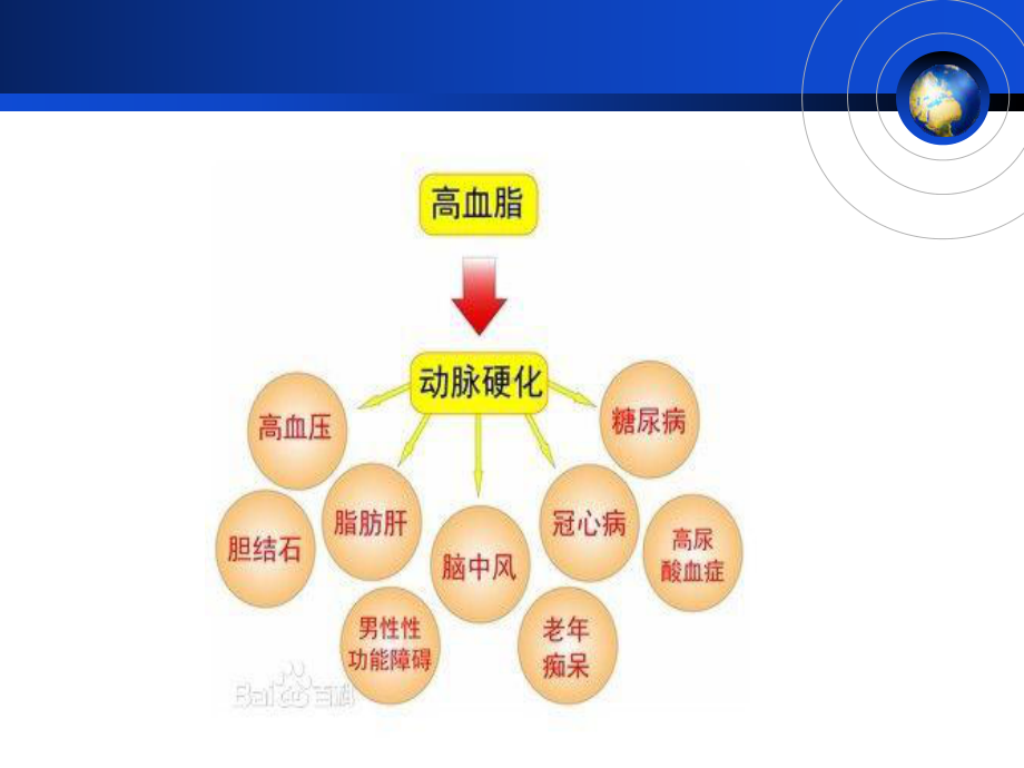 脂质代谢20161014生化课件.ppt_第3页