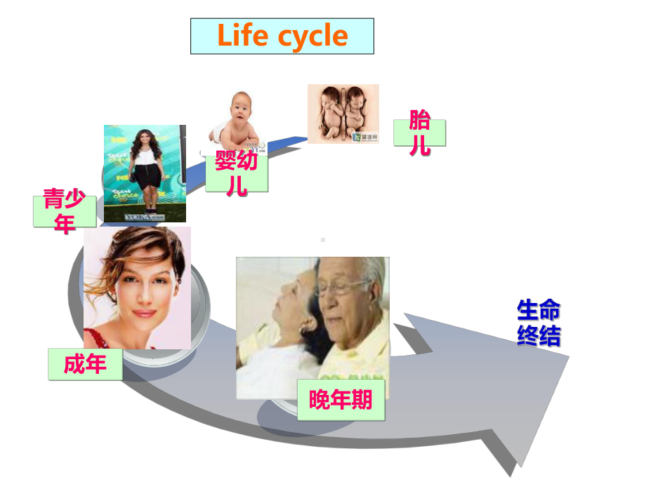 沿生命周期的健康照顾课件.ppt_第2页