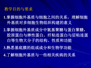 细胞外基质及其与细胞相互作用课件.pptx