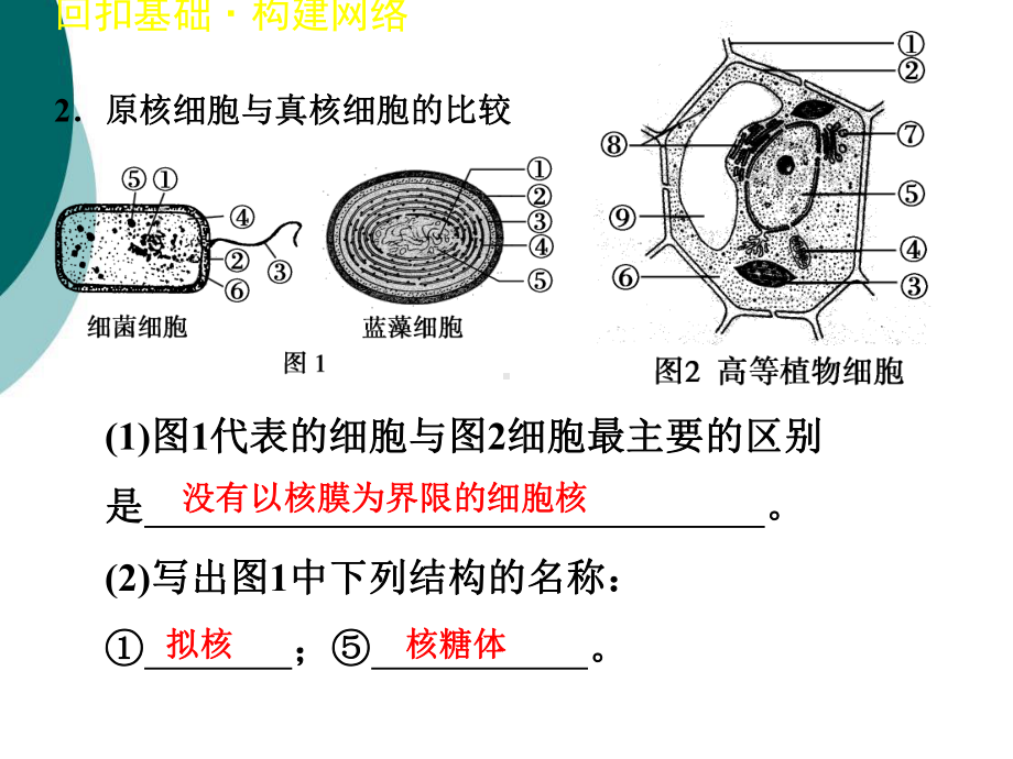 高中生物必修一第一章第二章复习课件.ppt_第3页