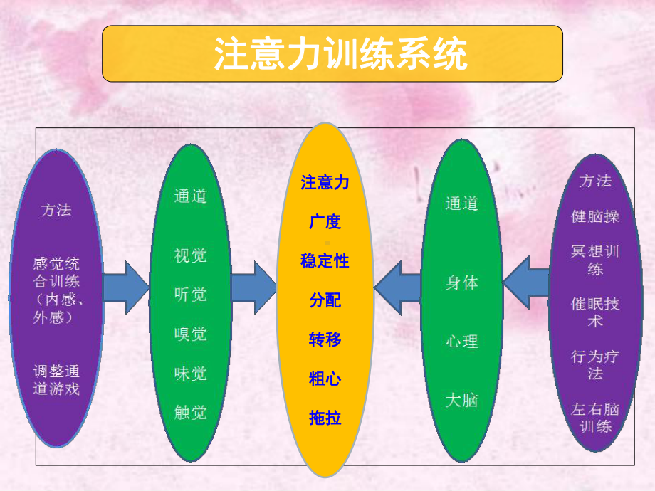 超级注意力训练体验课(课堂)课件.ppt_第2页