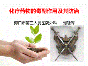 化疗药物的毒副作用分级及防治(刘晓晖)课件.ppt