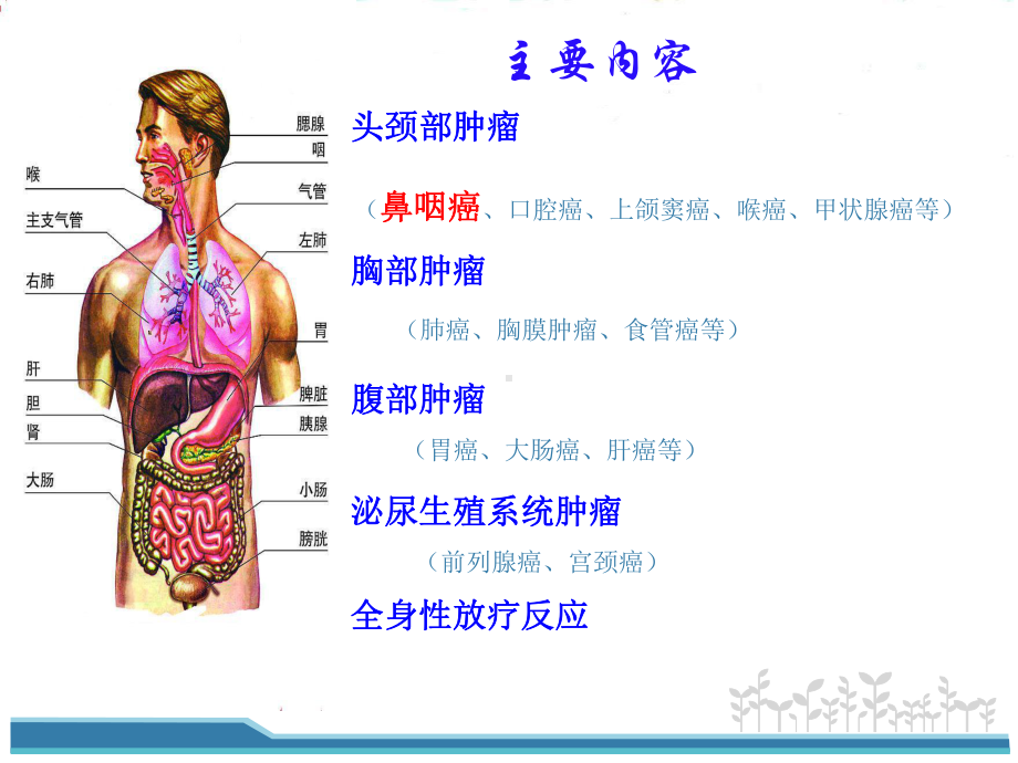 鼻咽癌放疗的副作用疾病课件.pptx_第1页