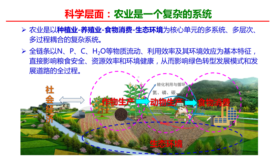 农业绿色发展理论：-从国家理念到行动落实课件.pptx_第3页