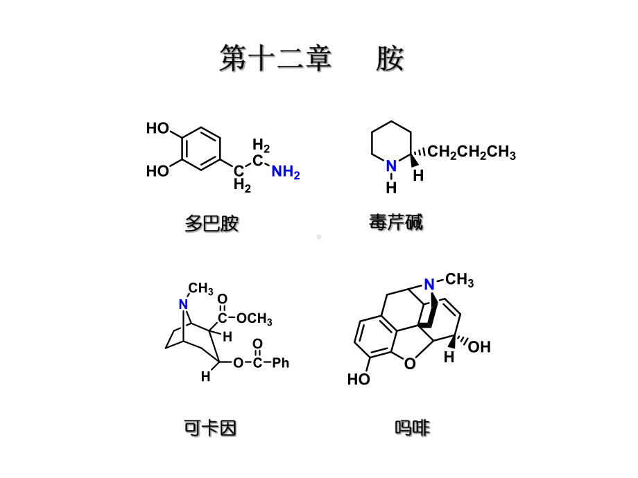 大学本科有机化学37胺课件.pptx_第2页