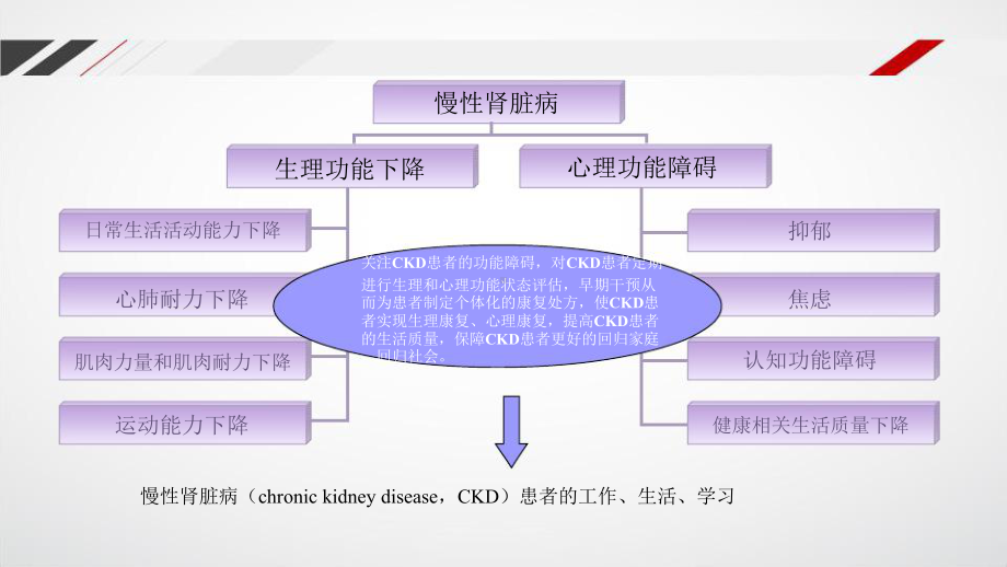 CKD患者功能障碍的评估及临床应用课件.pptx_第2页