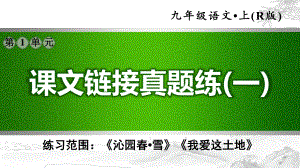 部编版九年级语文上册第一单元复习试题课件.ppt