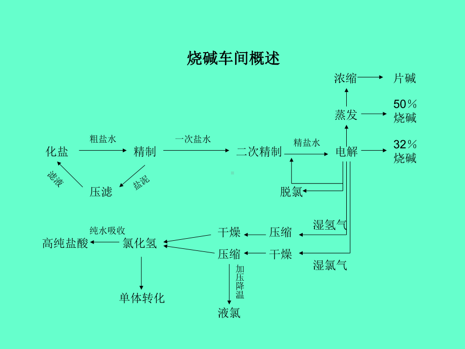 氯碱行业烧碱工艺教学课件.pptx_第2页