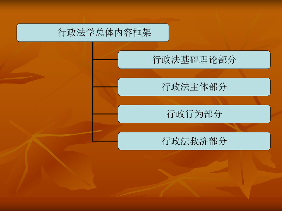 行政法学课件(第一部分).ppt_第2页