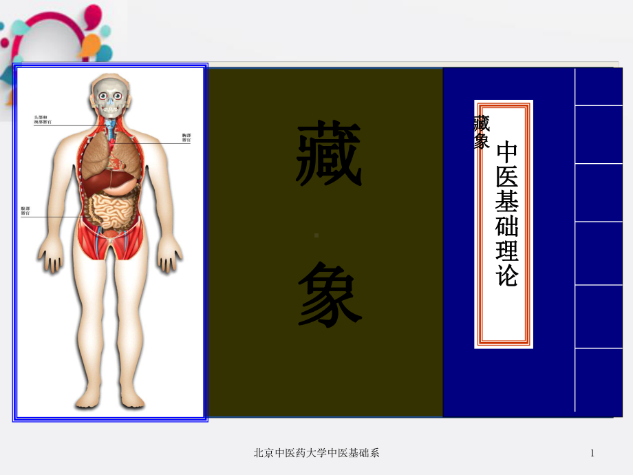 《藏象学说五脏肾》课件.ppt_第1页