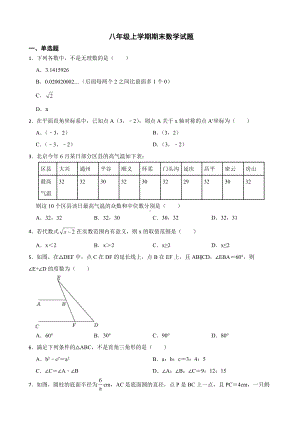 广东省揭阳市普宁市2022年八年级上学期期末数学试题（附答案）.pdf