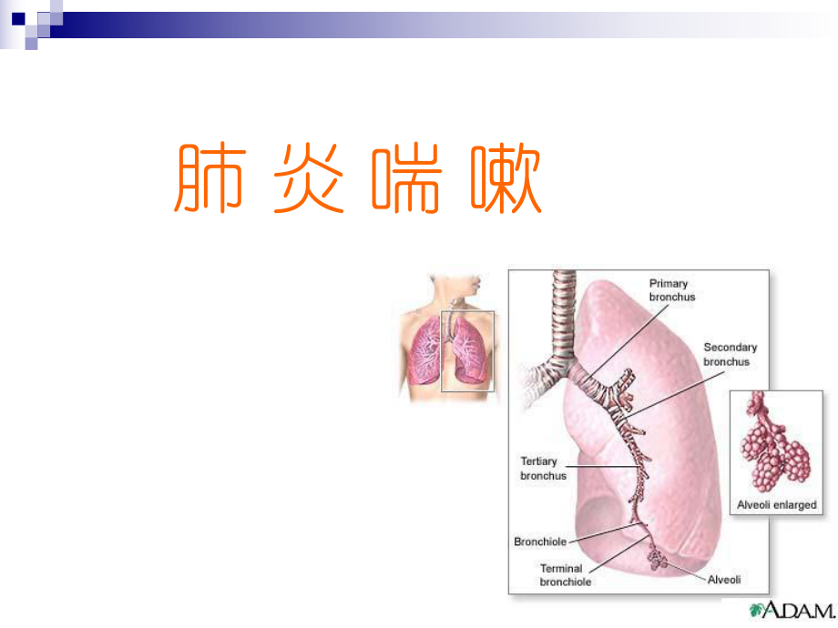 第四节肺炎喘嗽讲解课件.ppt_第1页