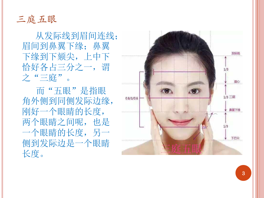 面-部-美-学-设计全面课件.ppt_第3页