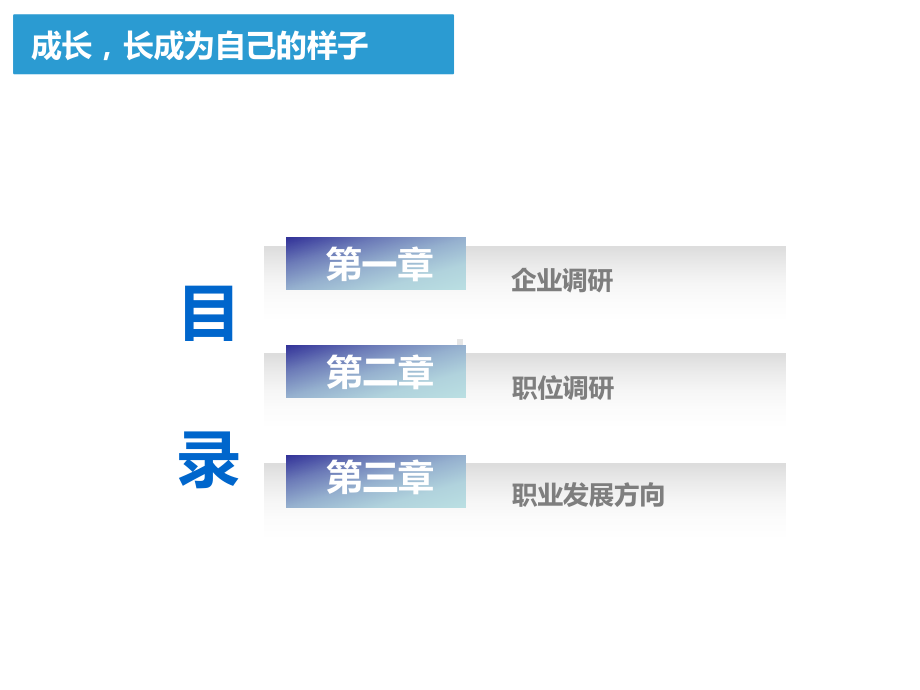 陈杰的企业和职位调查报告课件.pptx_第2页