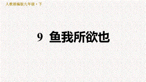 部编版九年级语文下册第三单元习题课件.pptx