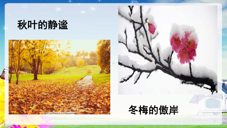 5-大自然的语言(公开课教学设计)课件.ppt_第2页