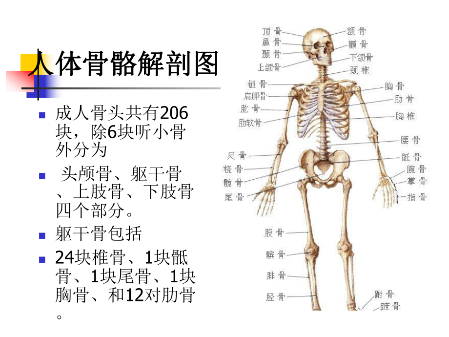 骨折病人护理-上肢骨折病人的护理课件.ppt_第3页