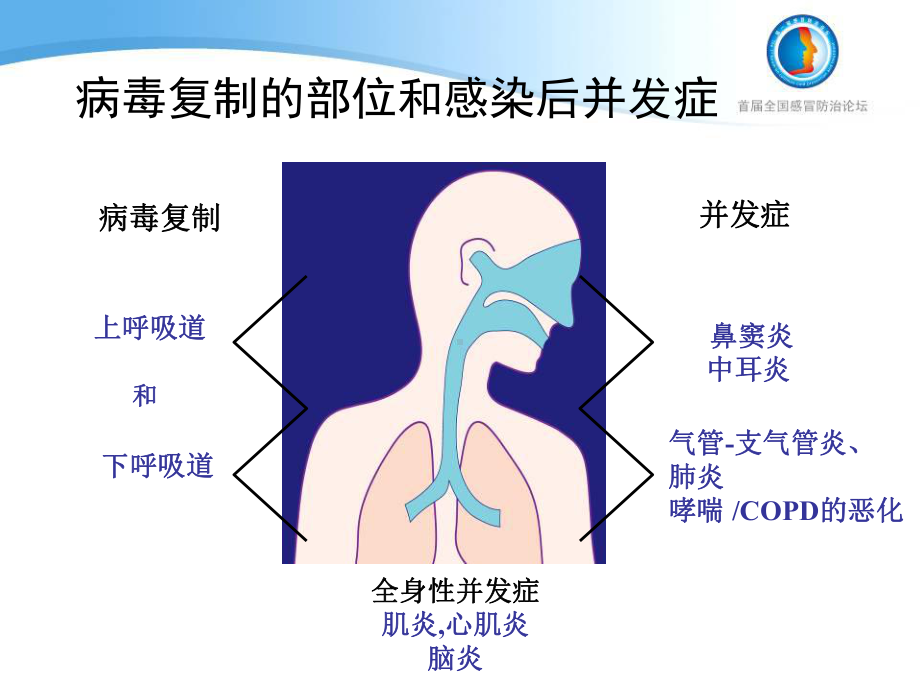 国内外感冒指南解读课件.ppt_第3页