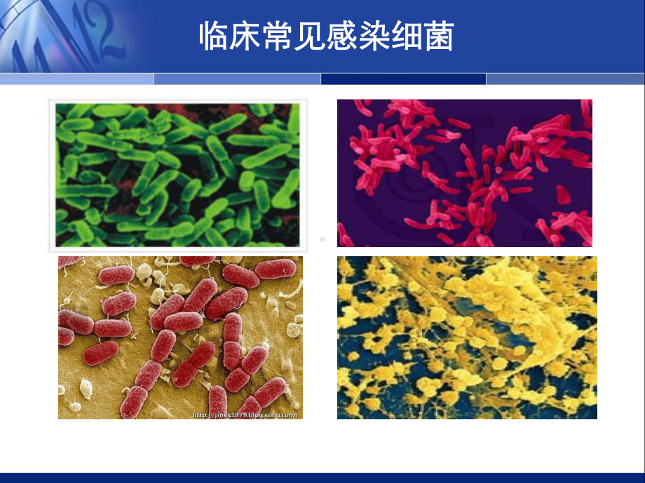 鲍曼不动杆菌感染诊治与防控专家与共识2014课件.ppt_第2页