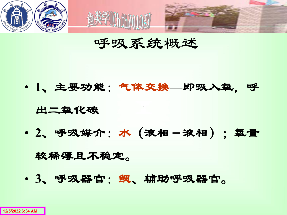 鱼类生理学第六章呼吸系统3学时课件.ppt_第3页