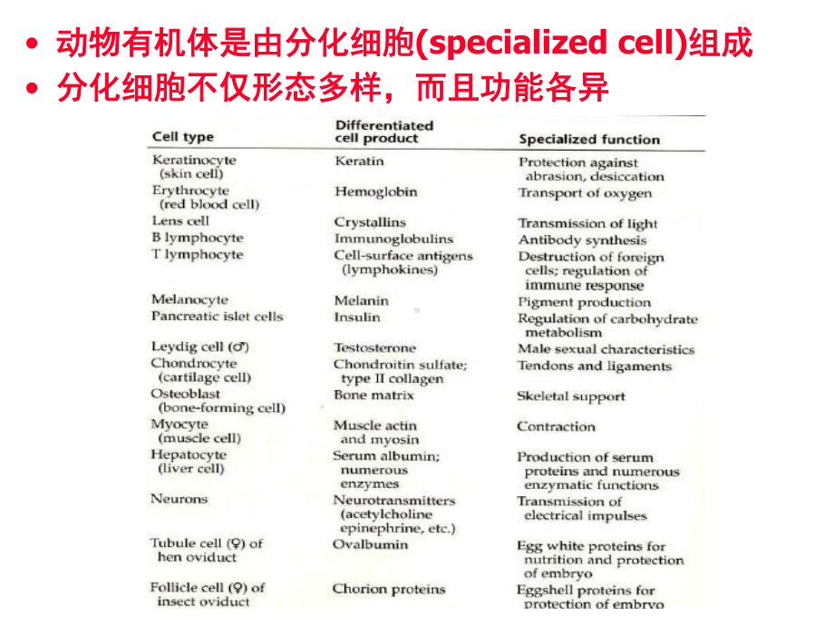 发育生物学-细胞命运决定-课件.ppt_第2页