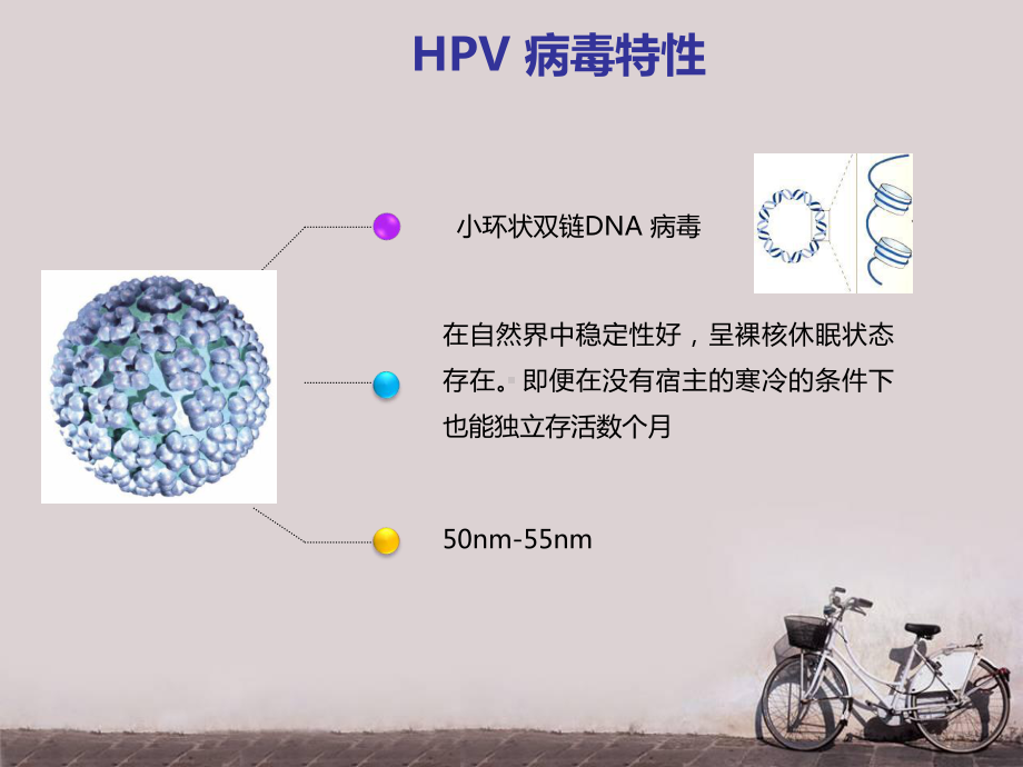 HPV检测的临床意义-课件.ppt_第3页