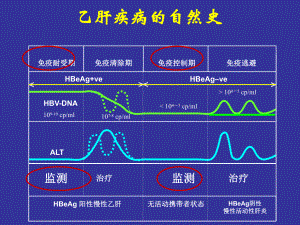 韩清锡慢性乙肝疾病进展的评价指标及治疗策略课件.pptx